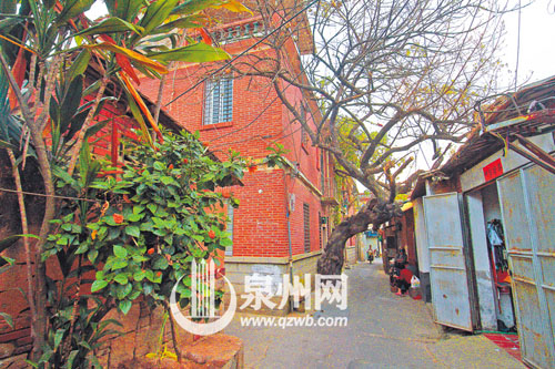臺魁巷里，落葉如黃金般鋪滿地。