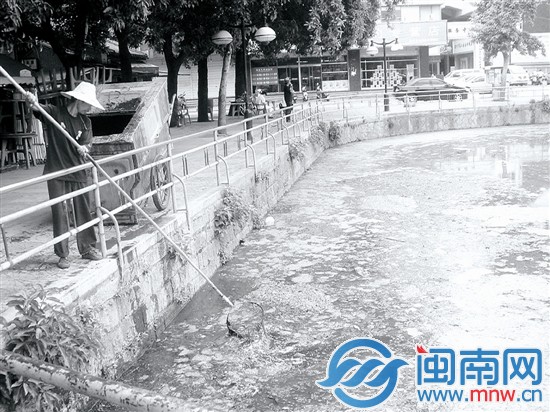 2009年，百源清池池水黑臭