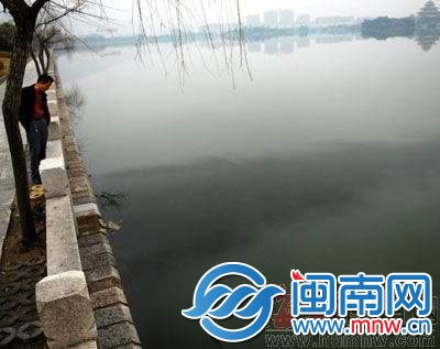 2011年，西湖遭油污污染