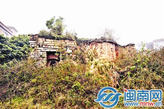 槐山村一處古窯，已經被草叢包圍