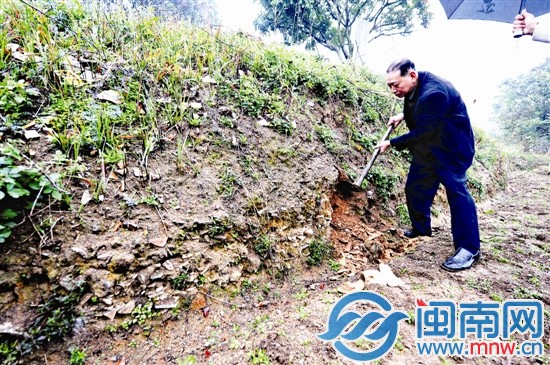 在田埂上，隨便一挖可見瓷片堆積