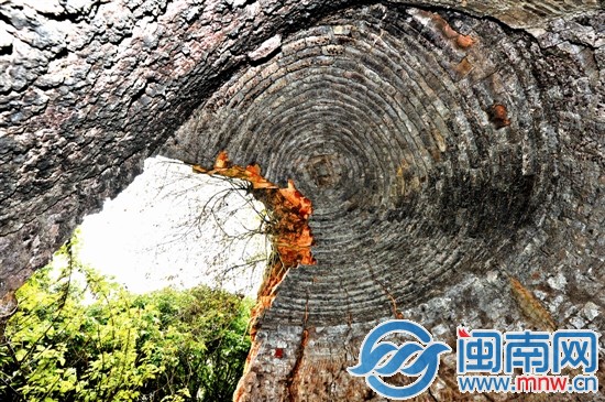 古窯窯頂內景