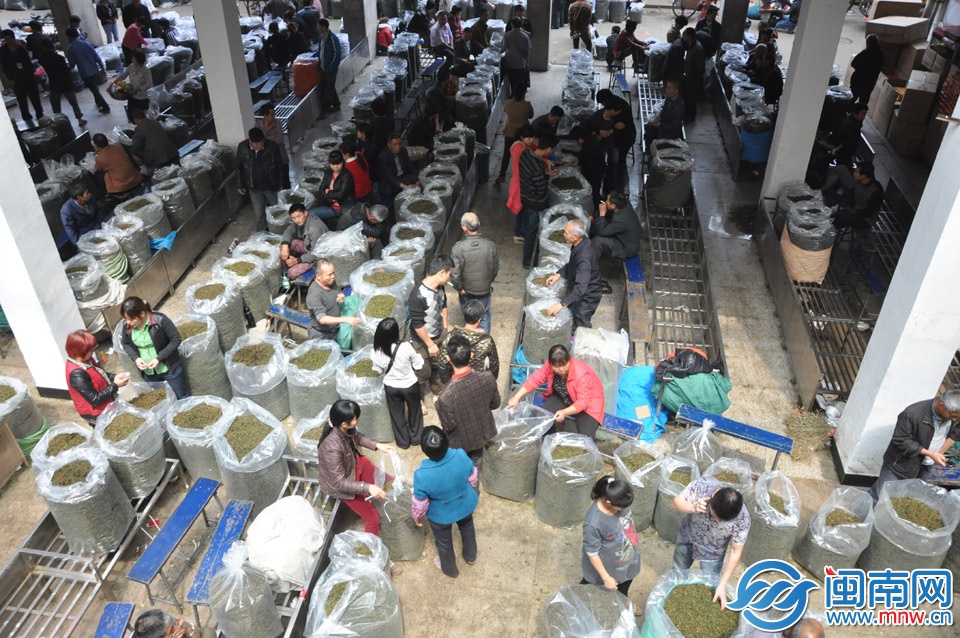 已接近中午時分，交易大廳仍有許多茶農等待交易 副本